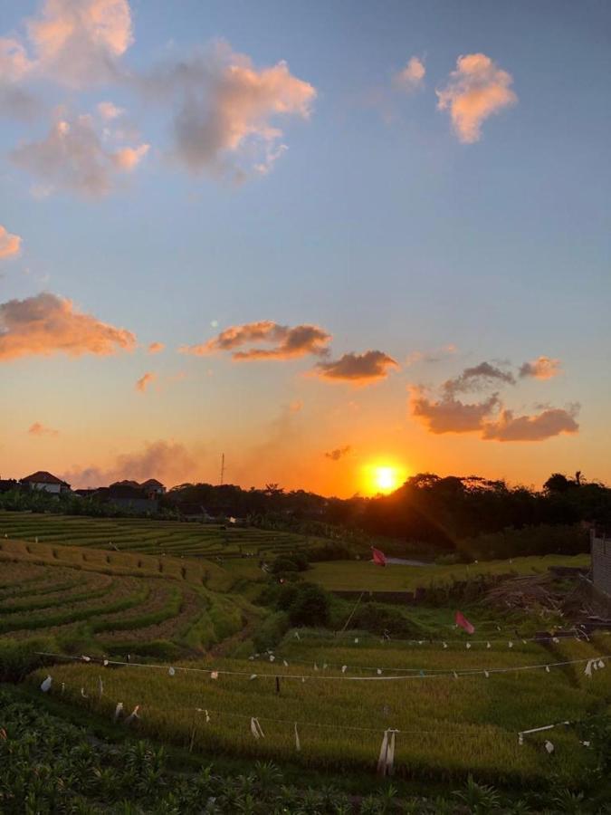 Alunan Villa - Canggu Exteriör bild